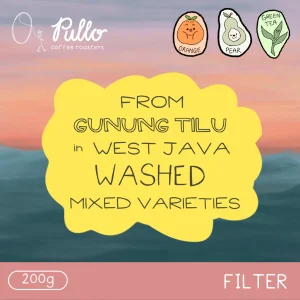 West Java Gunung Tilu Washed