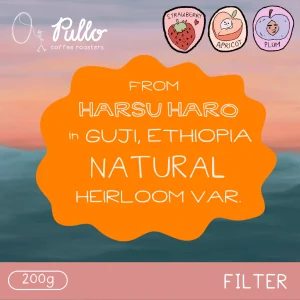 Harsu Haro Guji Ethiopia Natural
