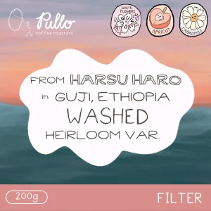 Harsu Haro Guji Ethiopia Washed