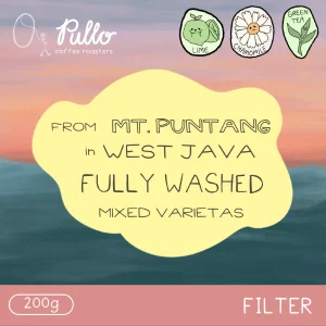 West Java Puntang Fully Washed